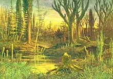 Esimesed metsad