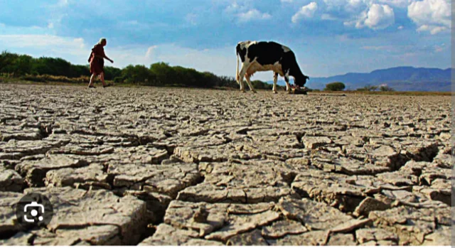 ARGENTINA: ESTEPA PATAGONICA