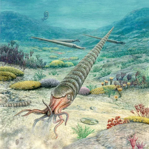 Ordoviitsium