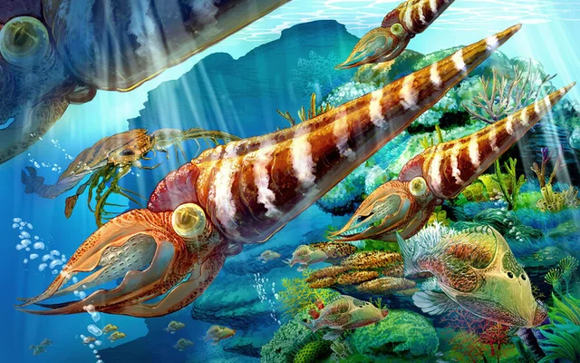 Ordoviitsium