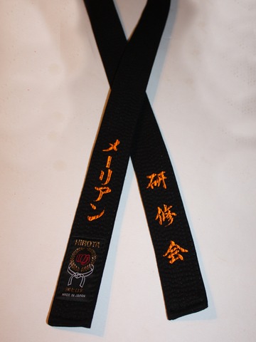 I got my black belt in Karate