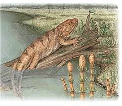 Esimesed kahepaiksed