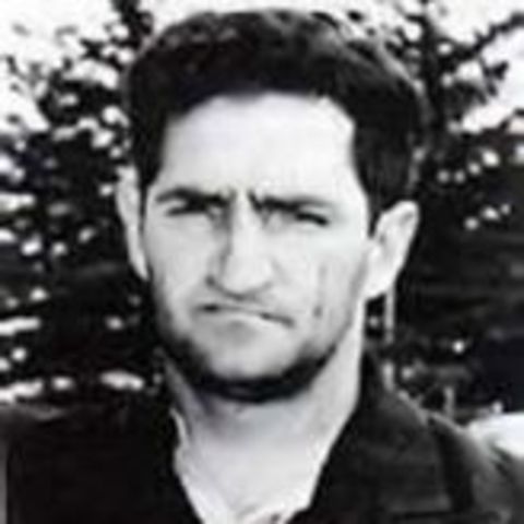 Australia Day Shootings