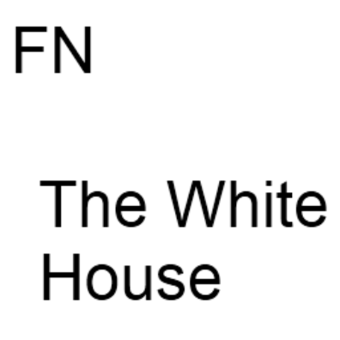 Det Hvide Hus og FN Går online