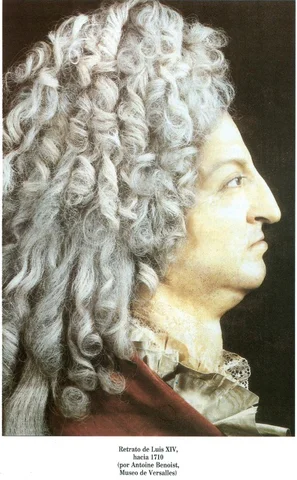 Empieza el absolutismo del rey sol