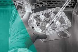 Apoyo de la investigación científica y tecnológica