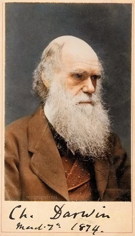 Charles Darwin y la teoría de la evolución (1859)