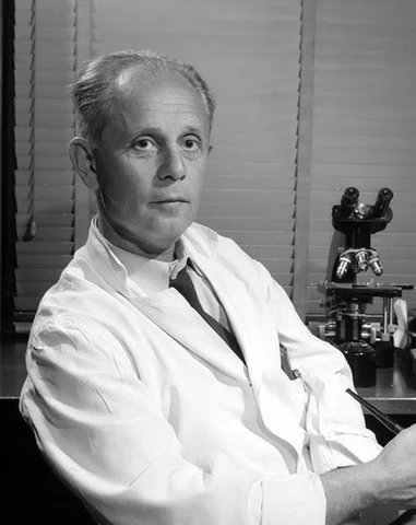 Hans Selye y la teoría del estrés (1936)