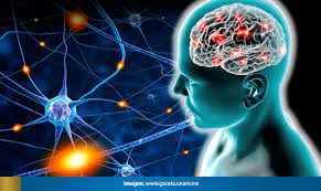 Investigaciones sobre la plasticidad cerebral (1960)