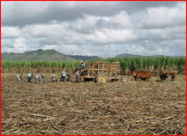 Development of Wealth