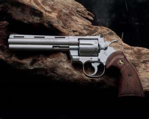 Beretta family branched into guns