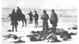 Timeline: Battle of Wounded Knee
