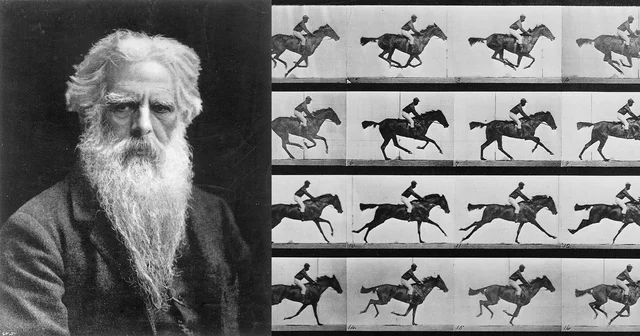 Eadweard Muybridge's Motion Studies