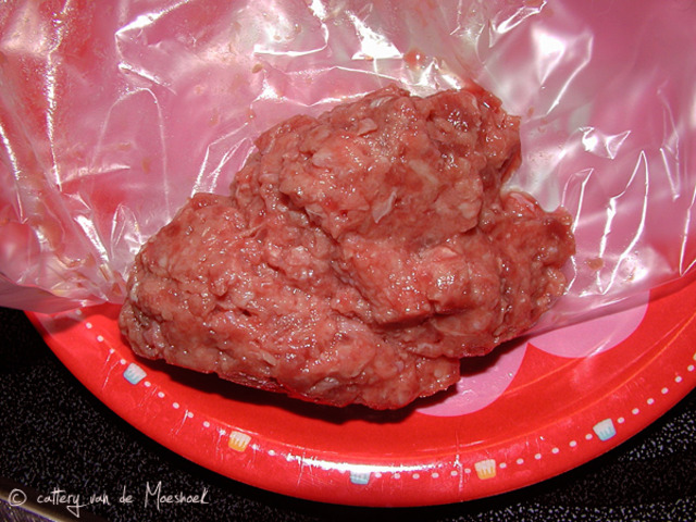 Voor het eerst vast voer