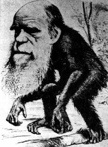 Darwin saca a la luz el origen de las especies