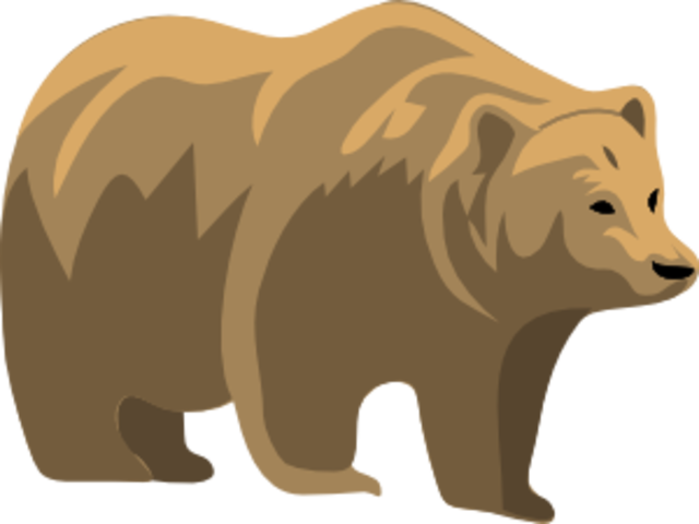 Kinder-teacher read Brown Bear,Brown Bear what do you see?