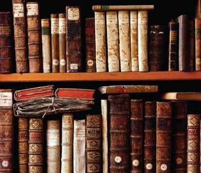 Literatura contemporanea