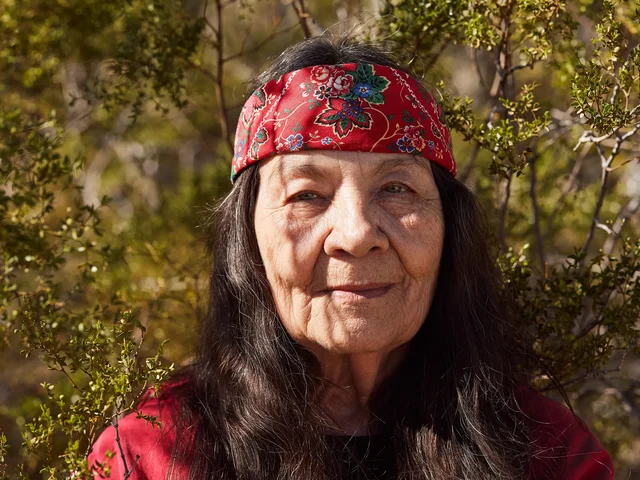 Leslie Marmon Silko (1948-presente)