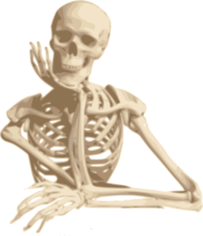 11th grade- Read "The Lovely Bones"