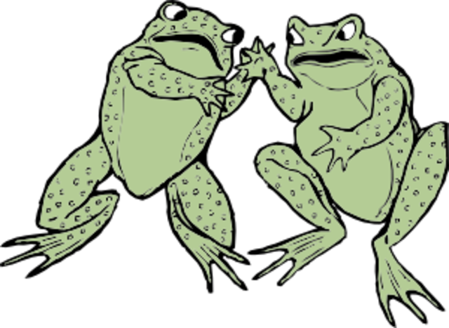 2nd grade-I read Frog and Toad are friends