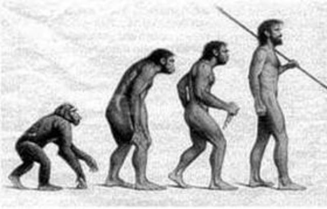 LA ASCENDENCIA DEL HOMBRE