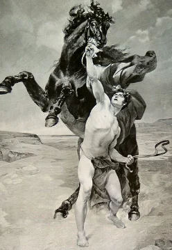 Alexander's companion