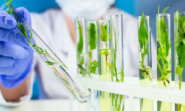 BIOTECNOLOGÍA
