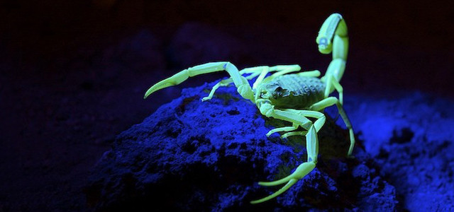 World Geographics for Kids