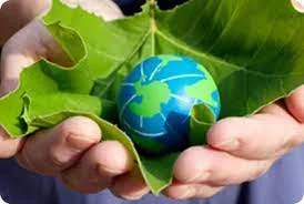 Surgimiento del movimiento ecologista