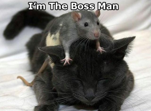 Last Carolingian King Dies