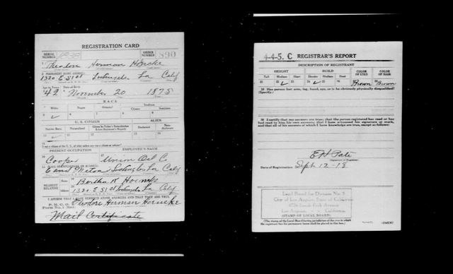 Theodore Herman Hoencke birth