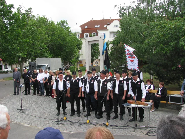 A Magyar Gárda megalakulása