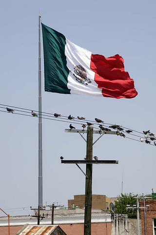 Fredonian Rebellion Mexican win