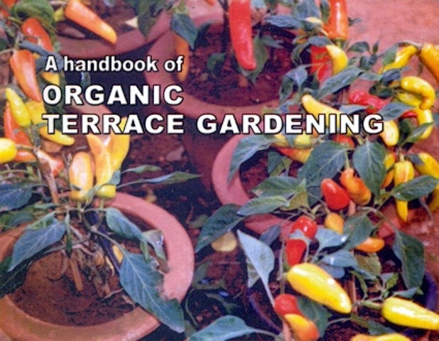 (agriculture) in India