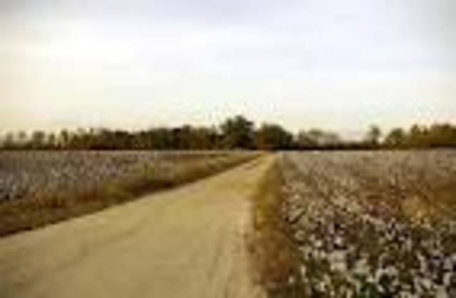 Arriving at Mr. Bone's Plantation