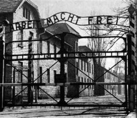 Liberation of the Death Camps