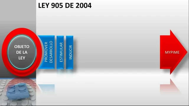 LEY 905 DE 2004
