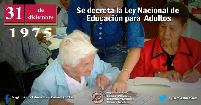 Ley Nacional de Educación para Adultos.