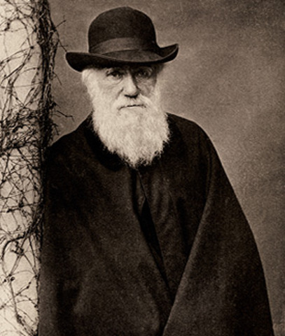 Darwins theroy of evolution