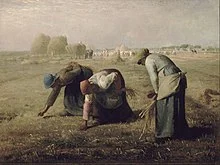 Viljapeade korjajad