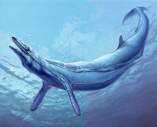 The Basilosaurus: 35-45 Million Years Ago