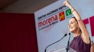 Fuerza política interna