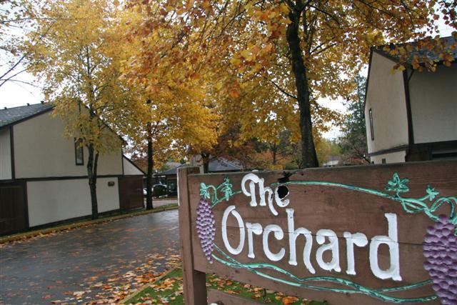 “The Orchard” Opens