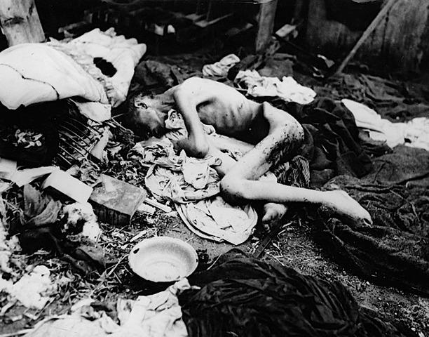 Liberation of Death Camps