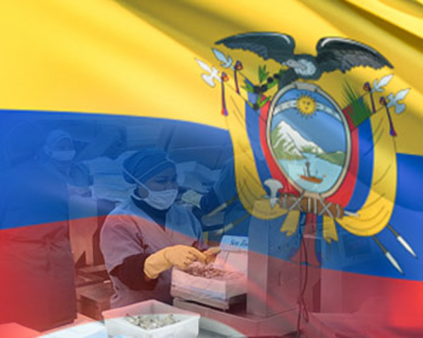 Inmigración ecuatoriana