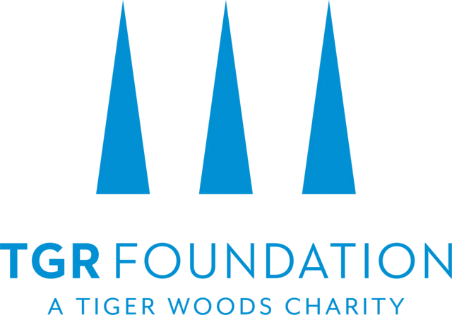 Generativity vs Stagnation