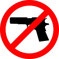 The Stoneman Douglas High School shooting