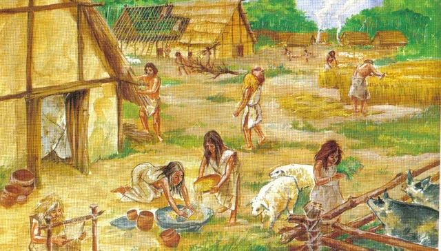 Primeros seres humanos