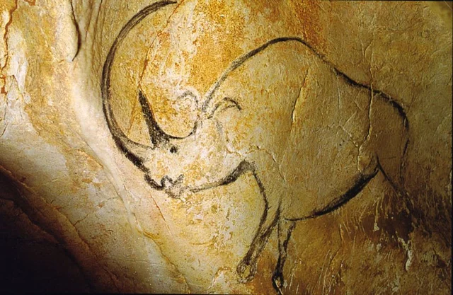 Neushoorn