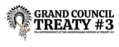 Treaty 3